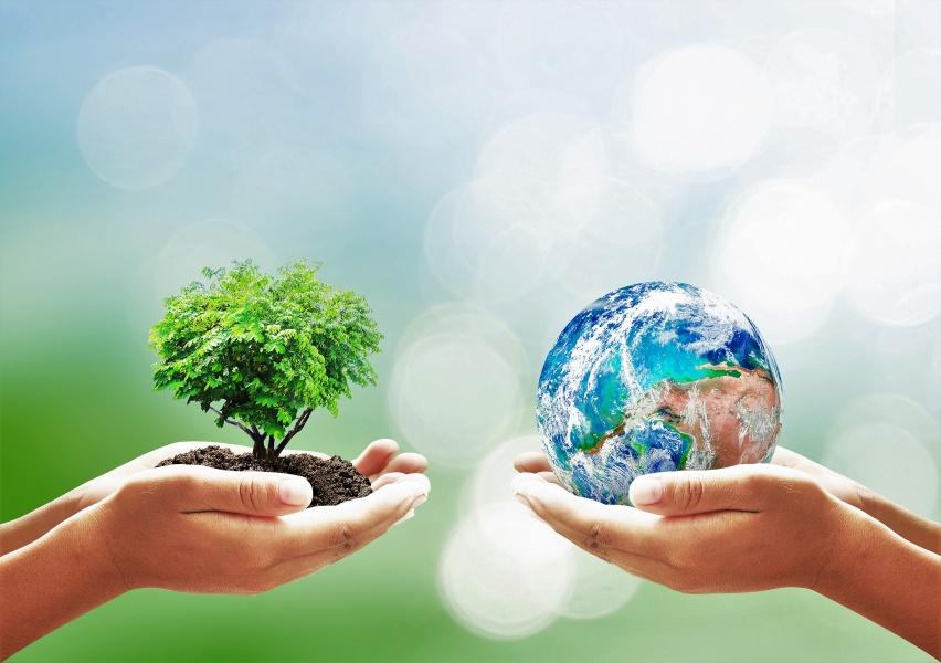 ENVIRONMENTAL