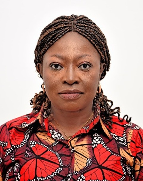 Professor Lami A. Nnamonu - IPESS Director
